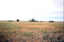 #4: Looking south from the confluence