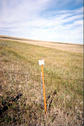 #5: Survey marker near confluence