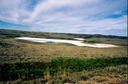 #6: Almost dry wetlands not far from confluence