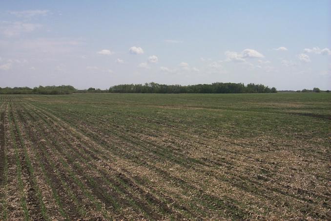 Looking SE from the confluence.