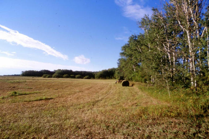 The view south from the confluence.