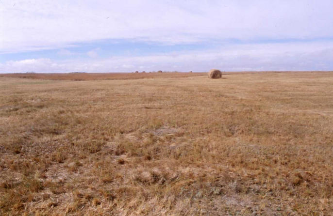 The view west from the confluence.