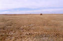 #4: The view west from the confluence.