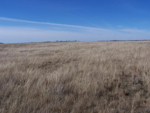 Looking West from the confluence.