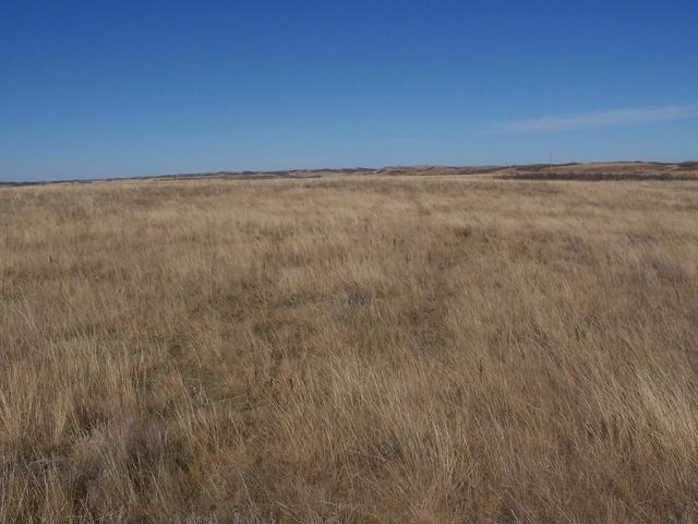 Looking North from the confluence.