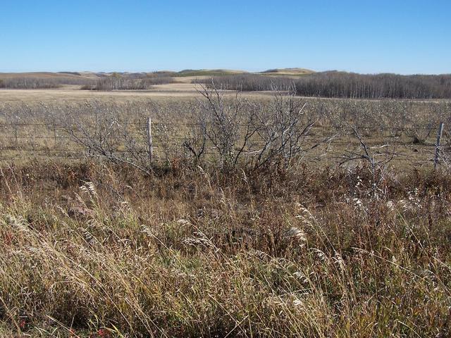 A view of the hills just East of the confluence.