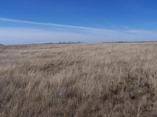 #1: Looking West from the confluence.