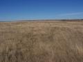 #2: Looking North from the confluence.