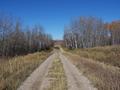 #8: Muddy road about a kilometer north of the confluence.