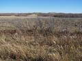 #9: A view of the hills just East of the confluence.