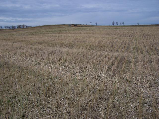 The view North from the confluence.