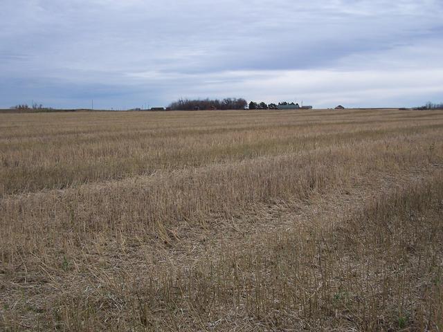 Looking East from the confluence.