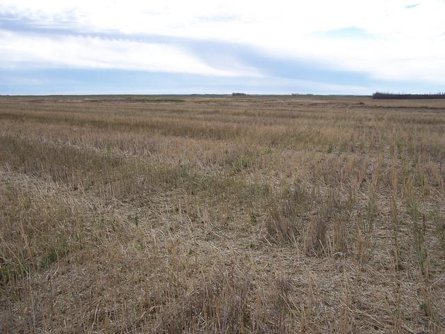 The view to the South from the confluence.