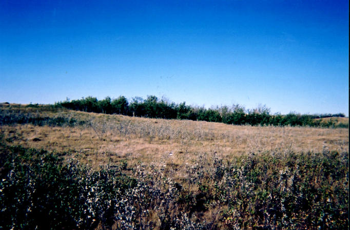 Looking north from the confluence