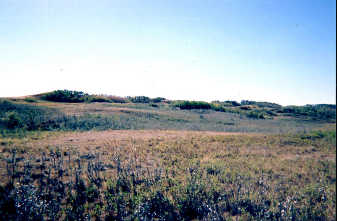 Looking west from the confluence