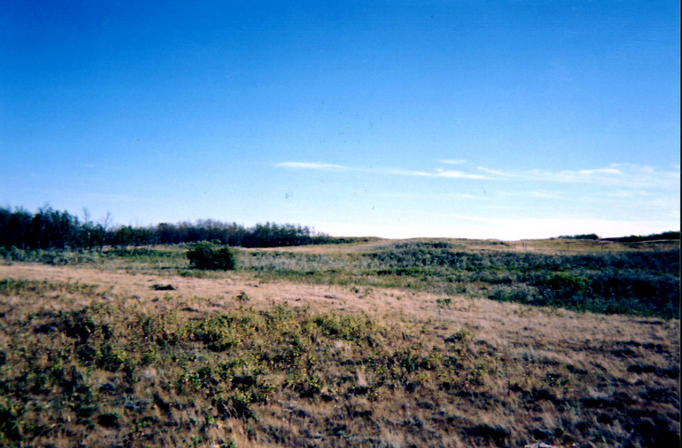 Looking south from the confluence