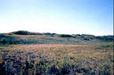 #3: Looking west from the confluence