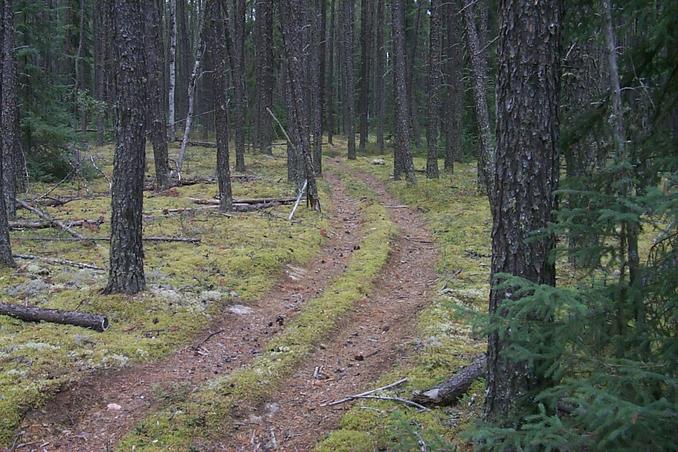 ATV trail at the end of "Airport Road".