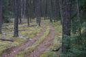 #6: ATV trail at the end of "Airport Road".