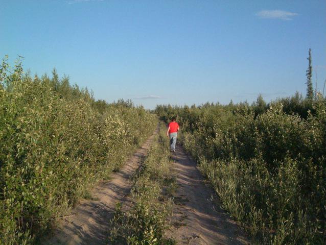 Walking back to the truck