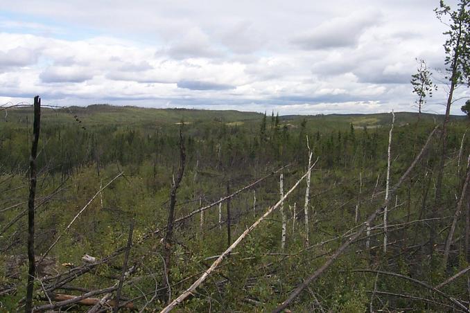 Looking northwest from a rocky outcrop near the confluence.