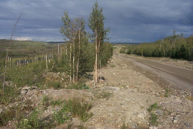 We emerged from the forest about 500 m up the road on the right.  The van was parked about 500 m further from there.