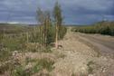 #7: We emerged from the forest about 500 m up the road on the right.  The van was parked about 500 m further from there.