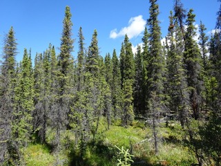 #1: The Confluence from 10 m distance