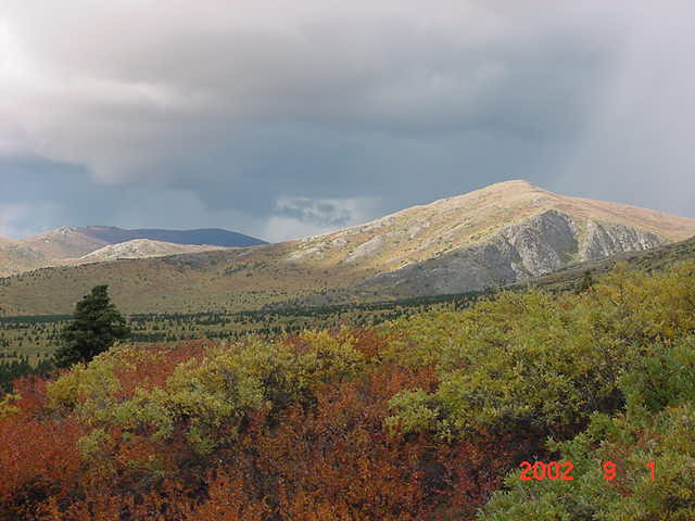 Fall colours south of confluence point looking west