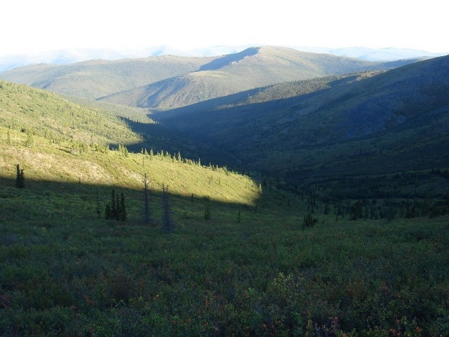 Point area in the valley / Zielgebiet im Tal