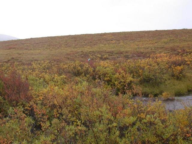 67 North 136 West - Yukon/Northwest Territories Border