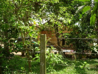 #1: View to the South and overiview of the Confluence