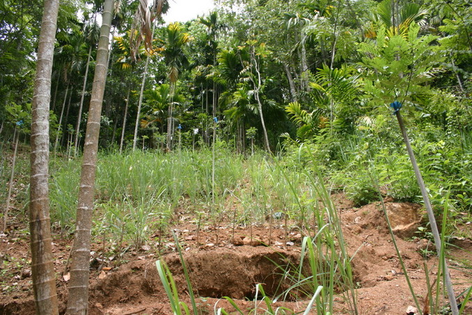 Overview of the CP, up the slope on which it lies