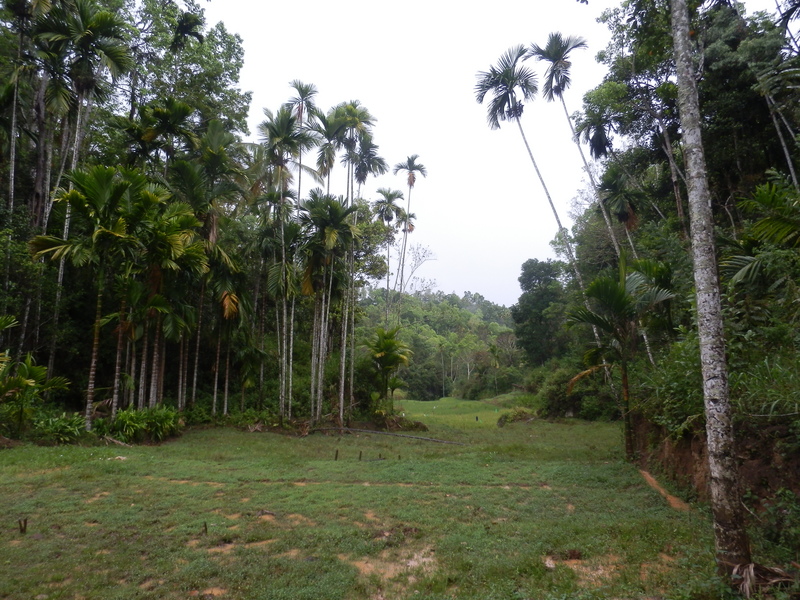 The Confluence from 50 m