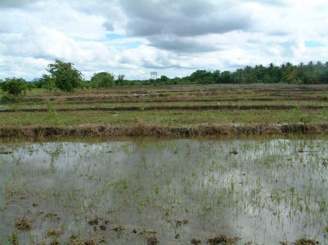 The confluence is towards the water tower just short of the first mudbank