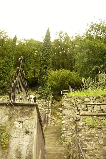 Weg zum Bootssteg - way down to the lake