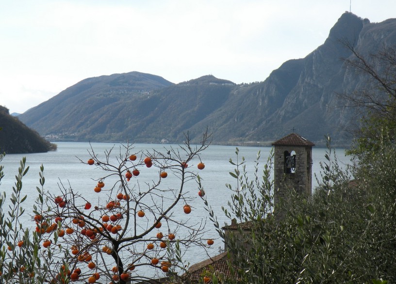 The Confluence seen from Gandria