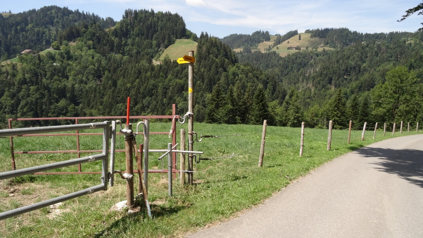 Gate to the trail