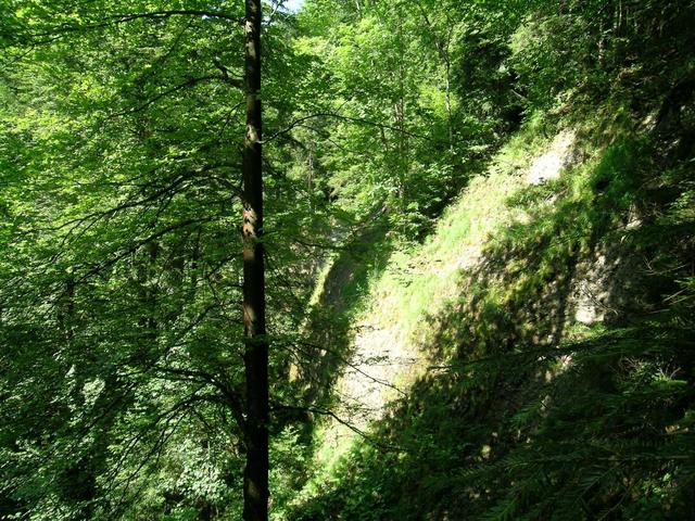 Confluence from the edge of the river gorge (north - downstream)