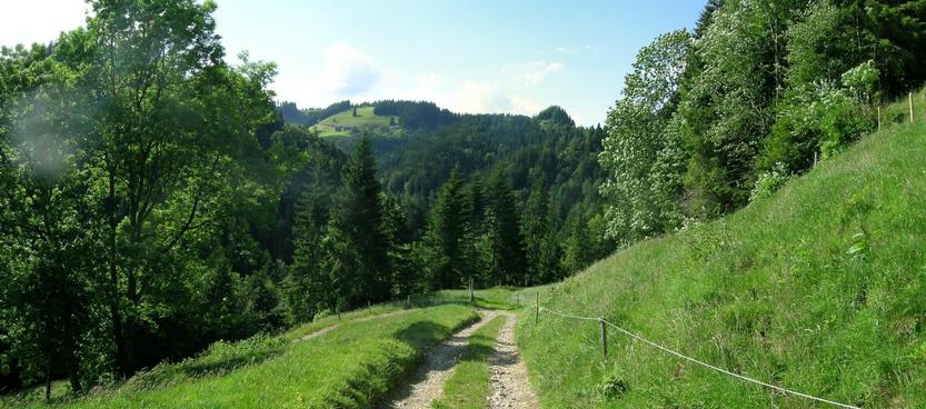 Walking down to the river gorge (north)