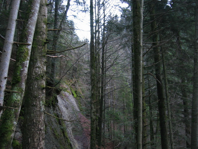 The Confluence, view southwards from 8m north