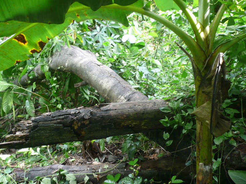 Close up of the confluence