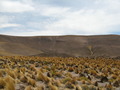 #4: At the Confluence - looking south