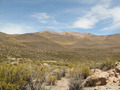 #7: Midwayon the hike to the Confluence - It is in the center of the photo behind the rocky ridge