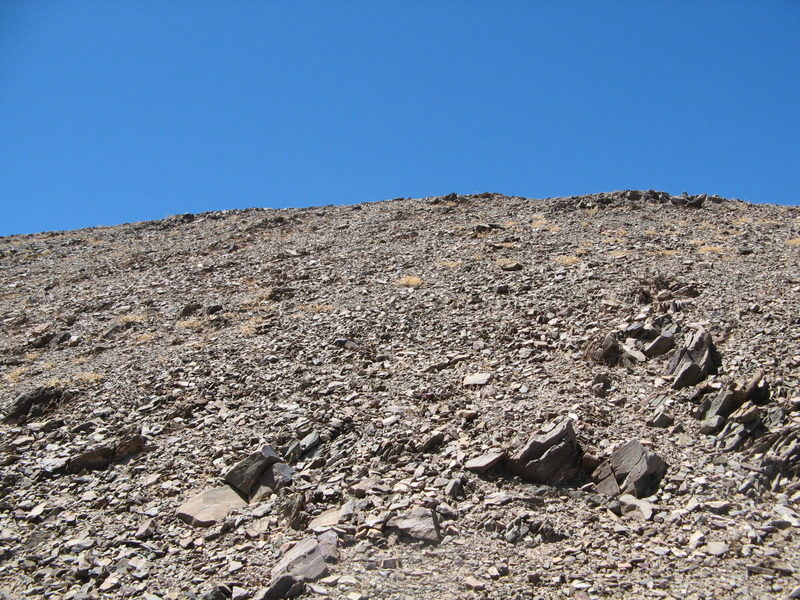 At the Confluence - looking south