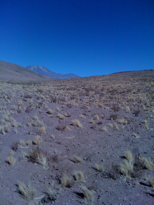 The view towards the confluence from where I left the car