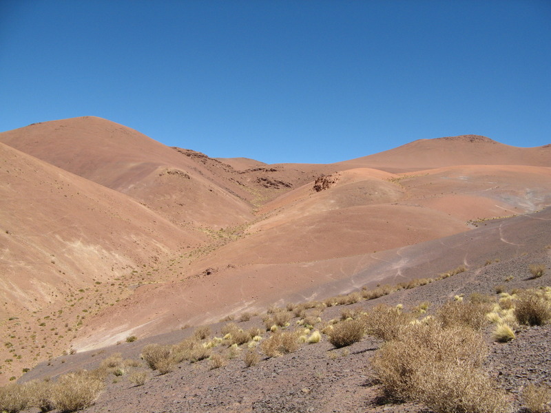 Walking in - Confluence is on the left side of the canyon behind the rock outcrops - Vicuña tracks everywhere