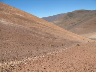 #1: General View of the Confluence from 100 feet to the Northeast