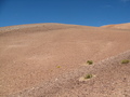 #3: View to the East from the Confluence