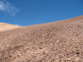 #4: View to the South from the Confluence